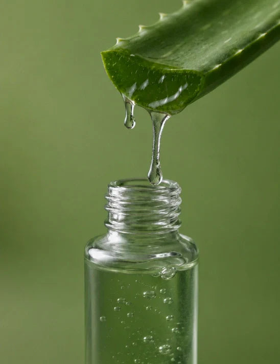 Travel Size Aloe Vera: Your Minimalist Travel Savior