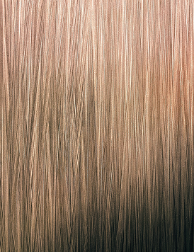 Your Guide to Argan Oil for Hair Growth and Thickness