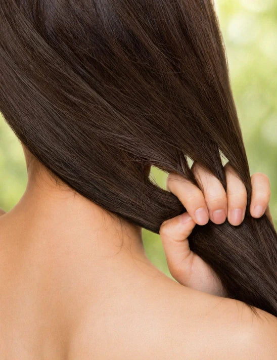 Finding the Best Rosemary Oil for Hair Growth