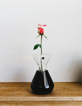 The Beauty of Rosemary Oil: A Natural Essential for Skin, Hair, and Daily Rituals