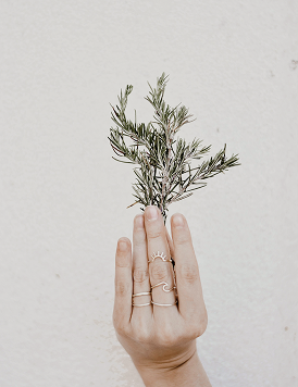 What Are the Rosemary Oil Benefits and How to Use It